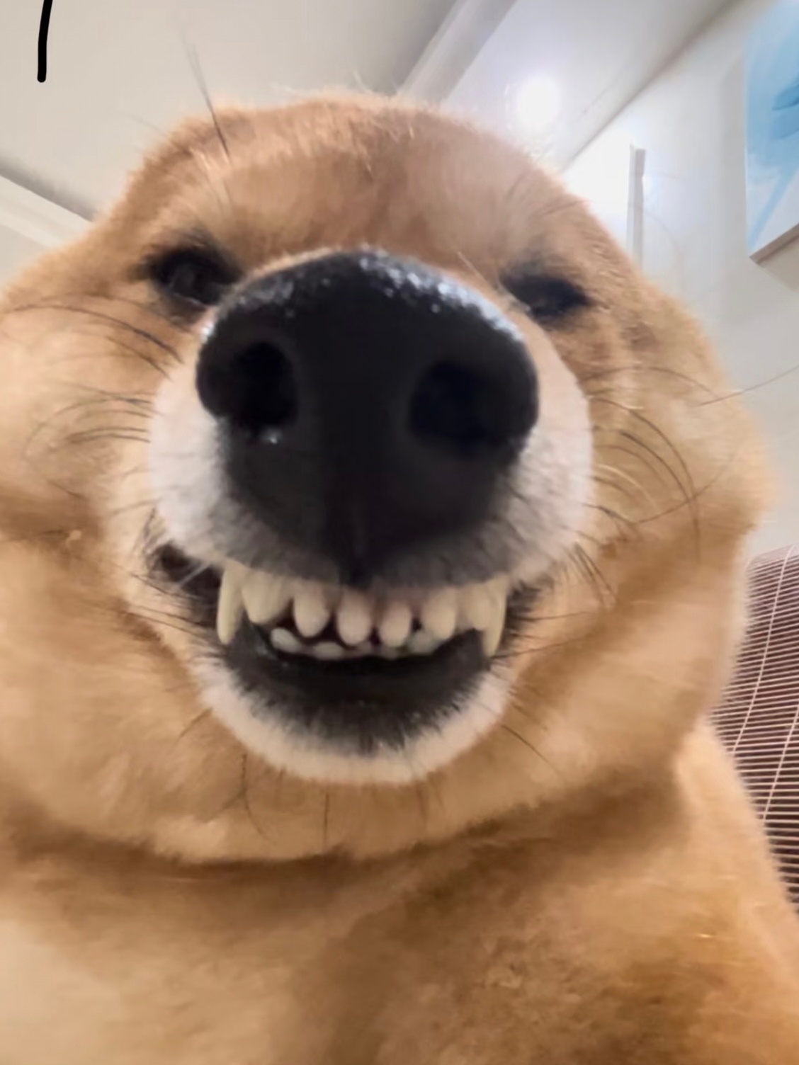 😁😁😁 
