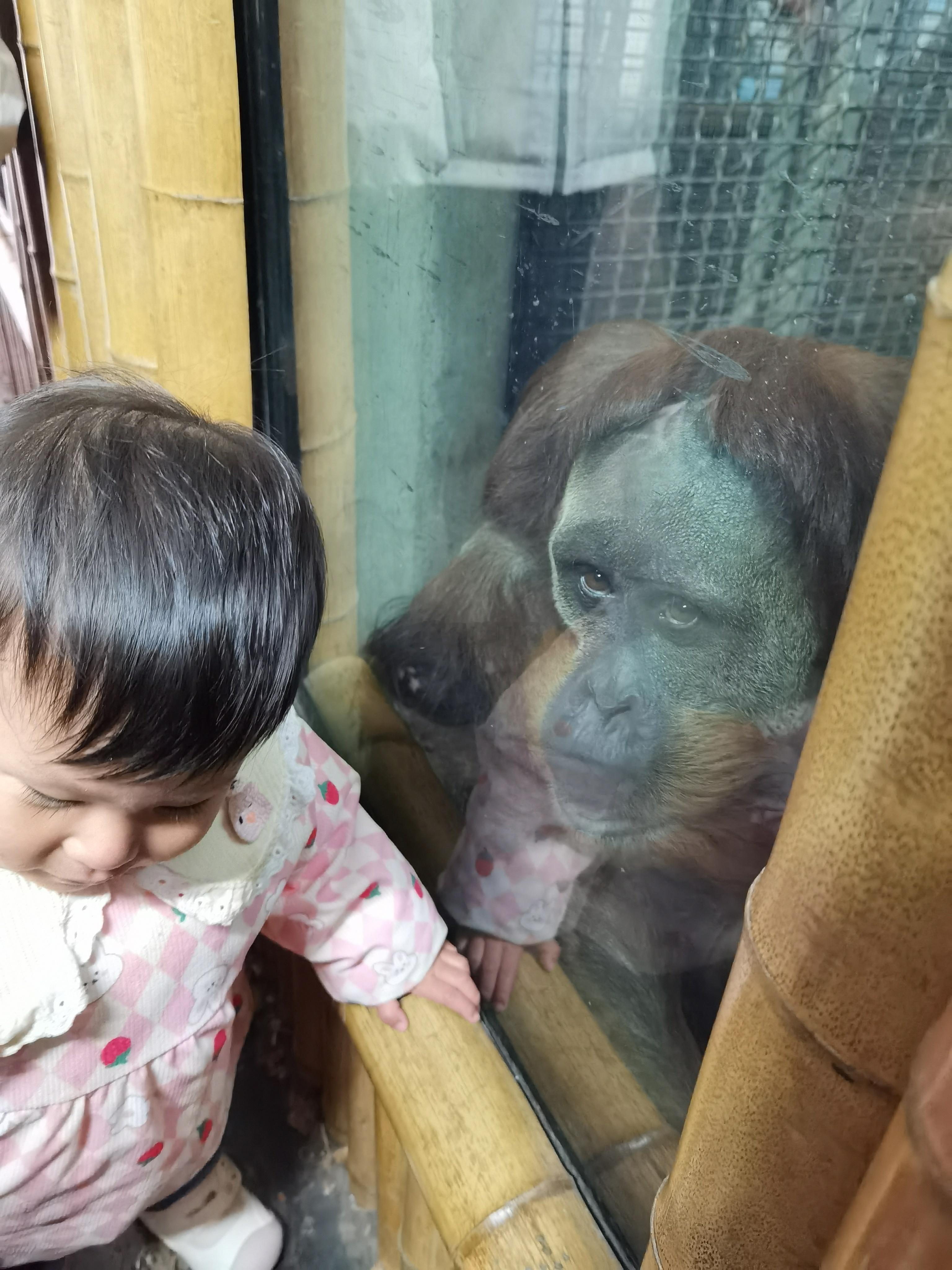 当你们在朋友圈、微博刷到越来越多做股票的行家发旅游照片了，就应该知道，一轮或者一