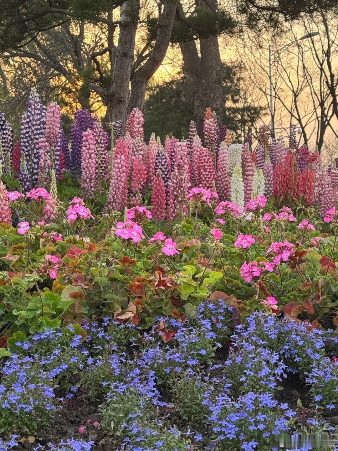 北京森林覆盖率76年增长近35倍北京仅40年逆袭成花园之都 76年攒下35倍绿色