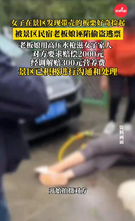 游客捡板栗壳，被说成偷东西，老板娘用高压水枪滋。可能一看这标题，大部分人都觉得这