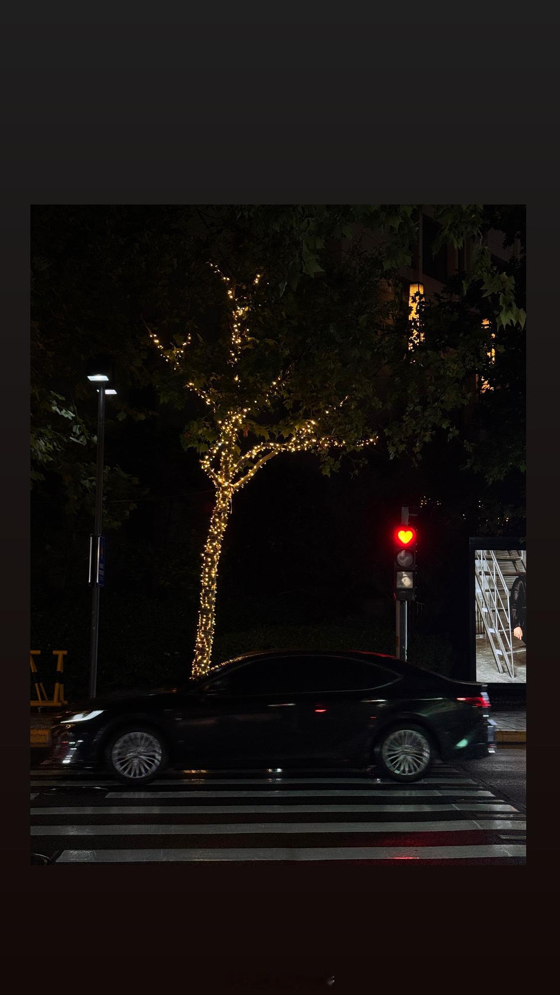 最近没怎么拍照捏～发点记录的生活📔 ​​​