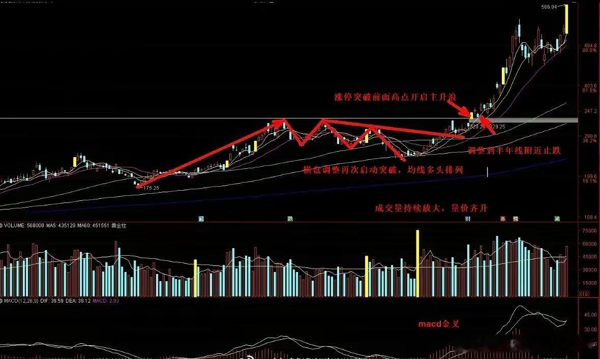 每天进步一点点6月20日。调整到半年线附近止跌 
