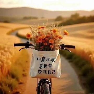 ʚïɞᰔᩚ𝗻𝗶𝗰𝗲 ⸝⸝⸝⸝💐这一年，你已经很棒了，别灰心，一切都会好