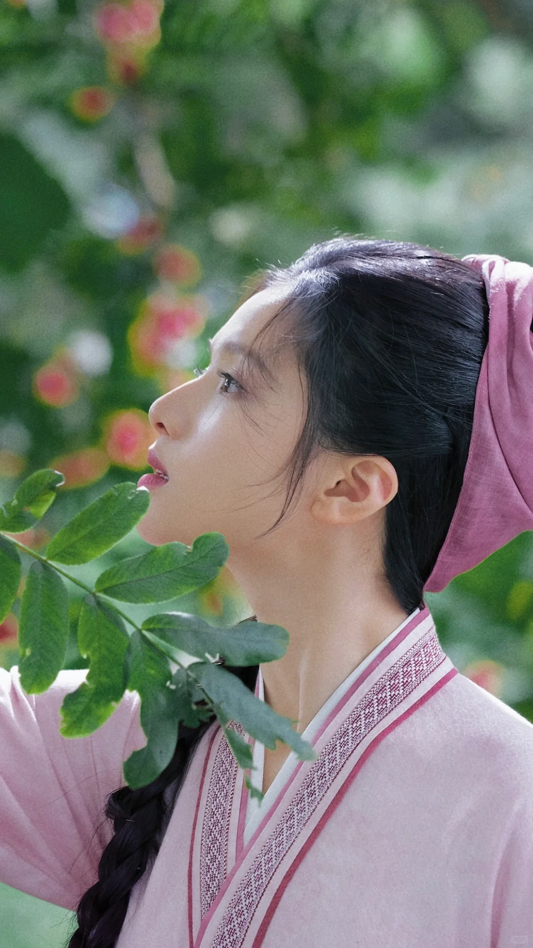 张婧仪 壁纸