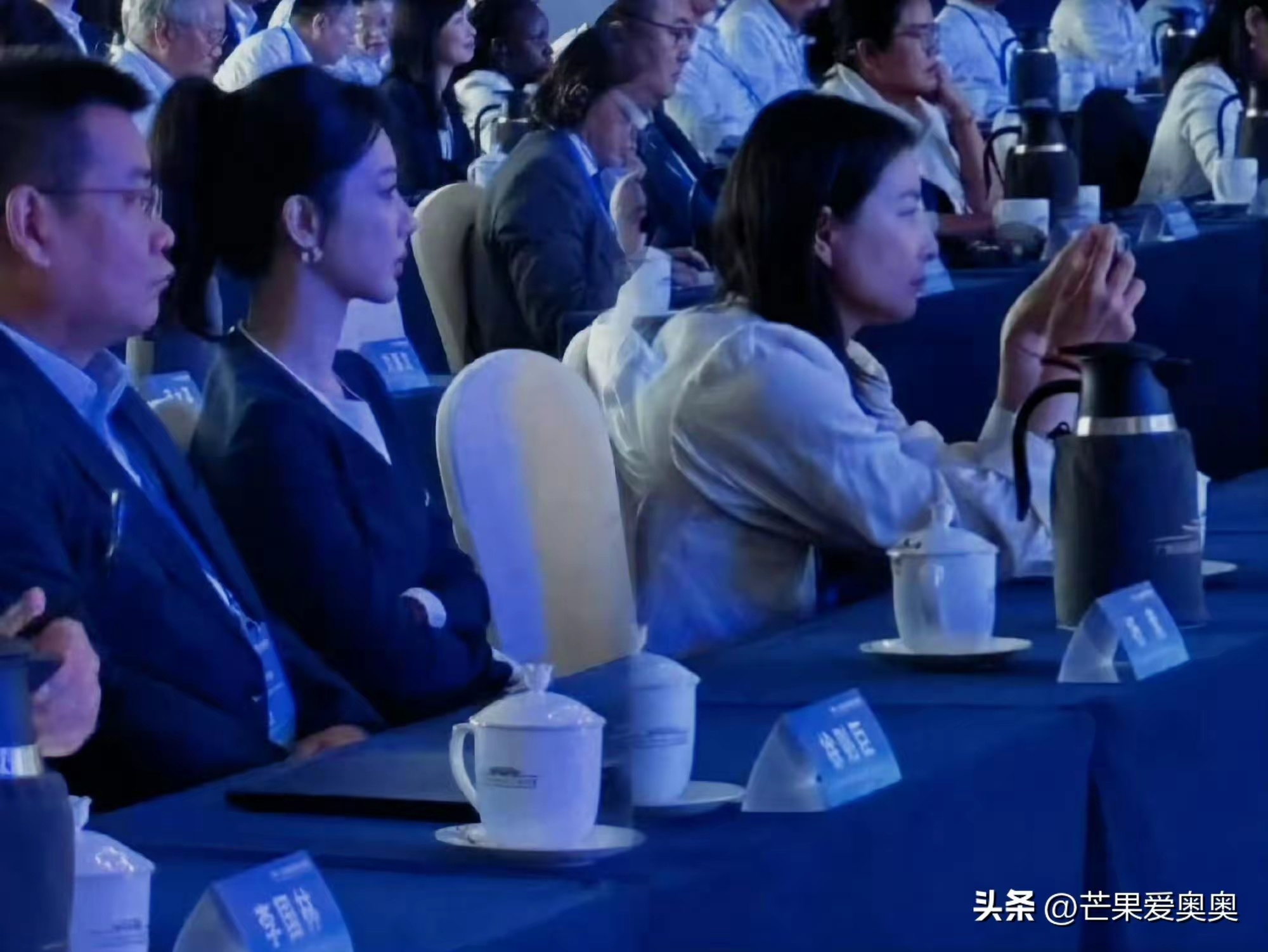 杨紫和郭晶晶一起上台领聘参加六五环境日国家主场活动被授予聘书，和郭晶晶一起上台领