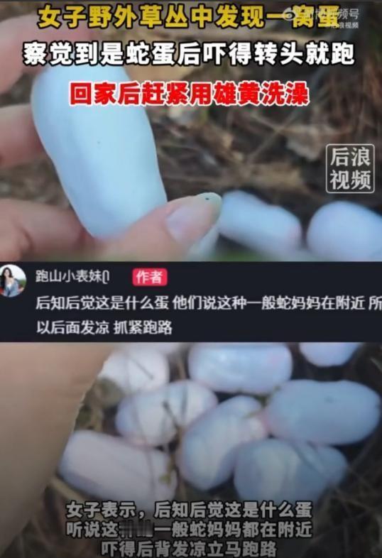 深山里的白蛋千万别乱摸！5月6日，浙江一女子在户外爬山时，踢开草丛发现一窝白晃晃