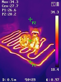 狗子也用上电热毯了~~~~~~~  不过网上那种便宜的类似，什么电热毯子（盖腿上