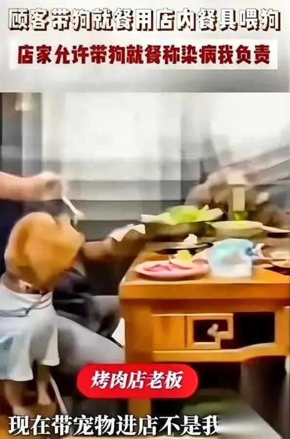 这事我真看愣了。

头回见这么刚的老板。

最近马鞍山有家烤肉店火了，俩顾客带狗