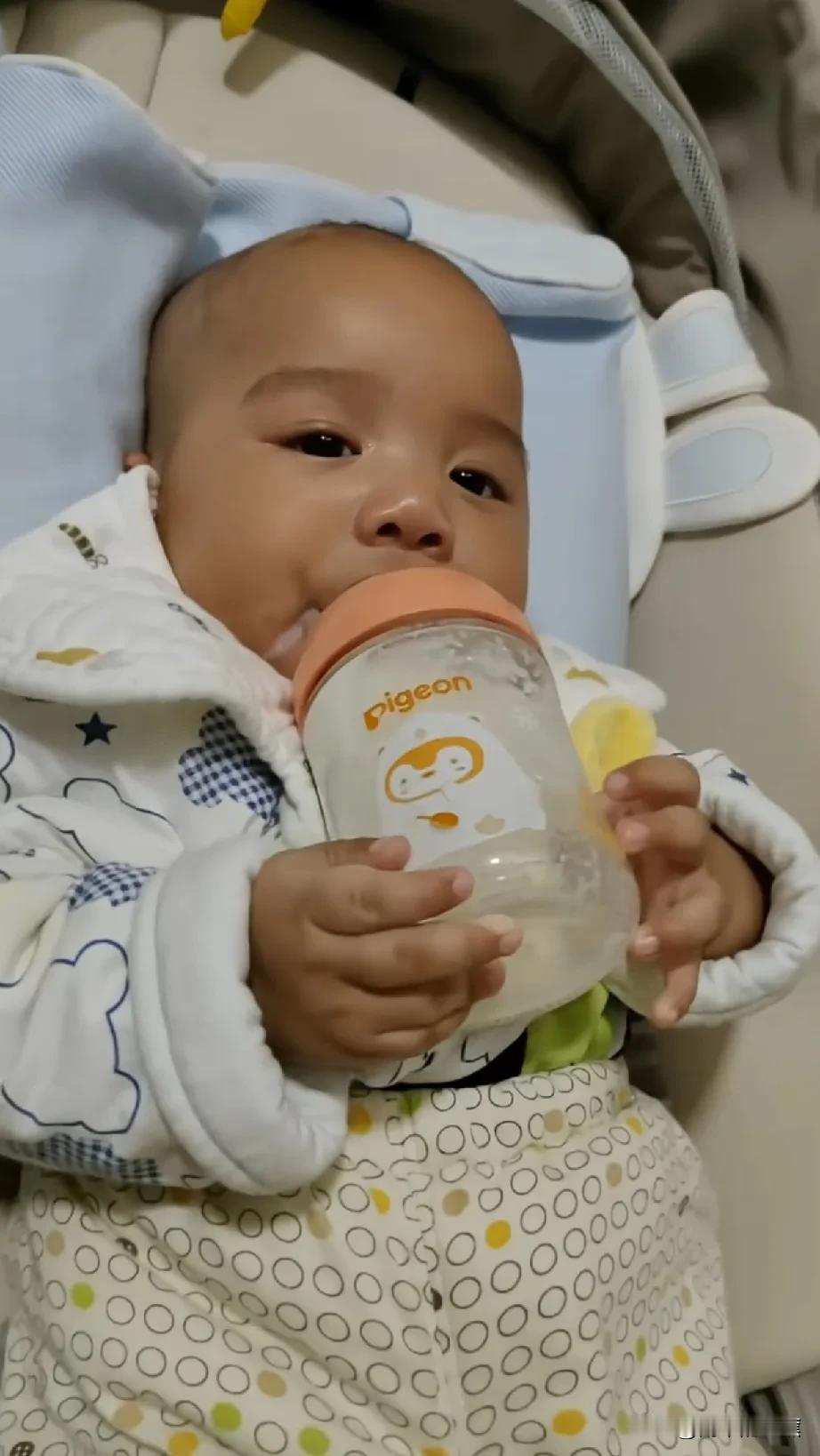 拉乌不在凯凯的身边，三个多月的凯凯都学会了独立，会自己喝奶了[赞]！从小看大，凯