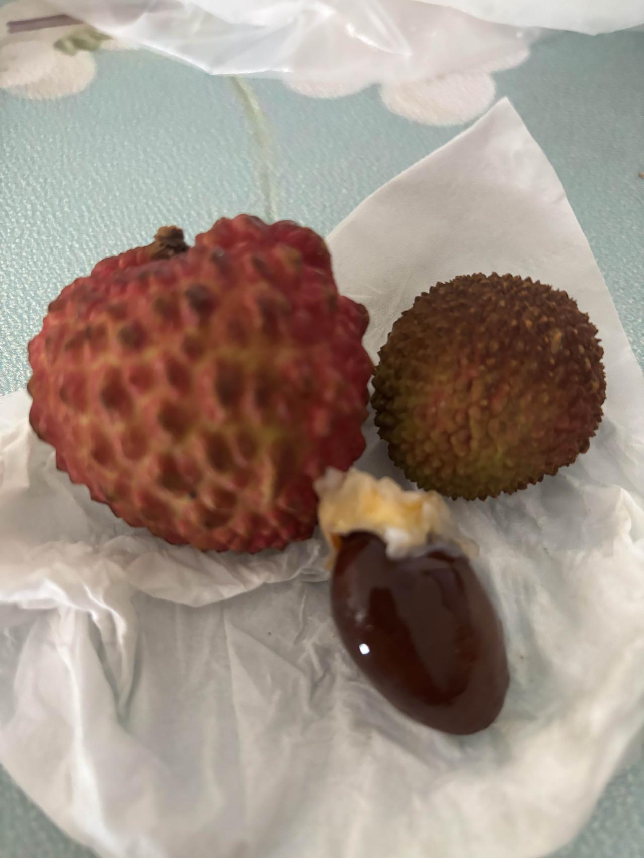 我比杨贵妃厉害多了！

杨贵妃没实现的荔枝自由，我实现了！

杨贵妃吃的荔枝肯定
