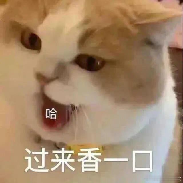 去哼哼歌