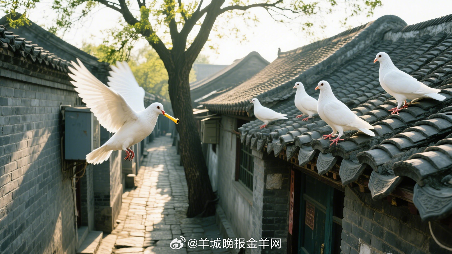 #早安# 天刚麻麻亮，胡同口儿已有了响动。卖杏仁茶的吆喝声拖着长腔儿，像根儿细线