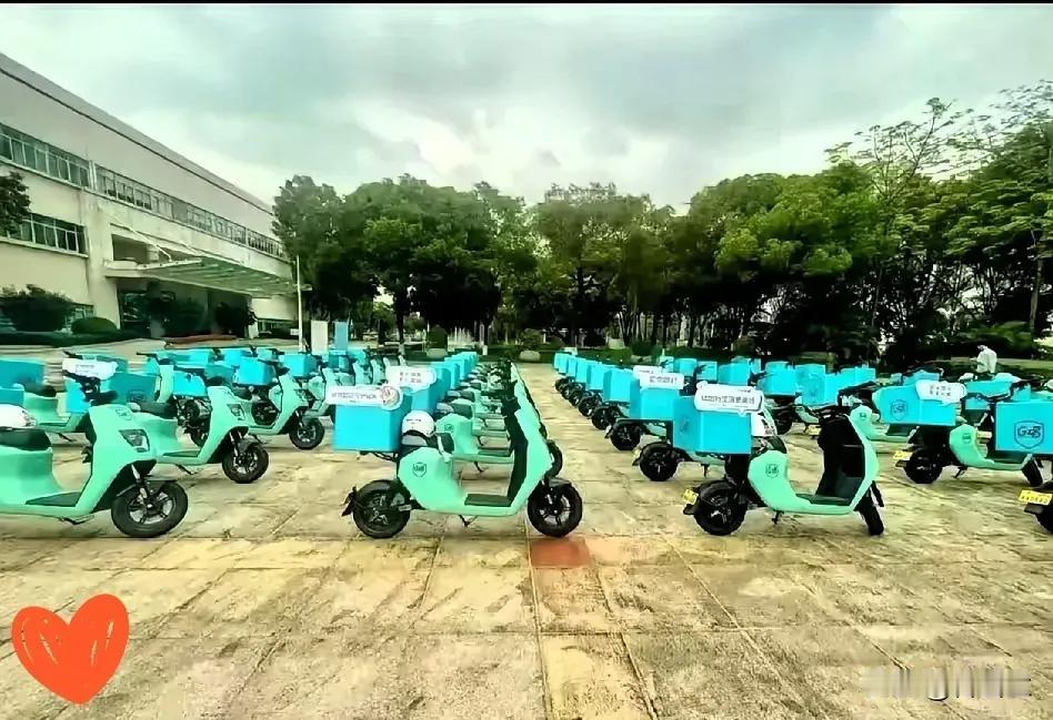 广东严查电动车不是一刀切，而是精细化治理的精准布局
 
终于明白！广东最近严查电