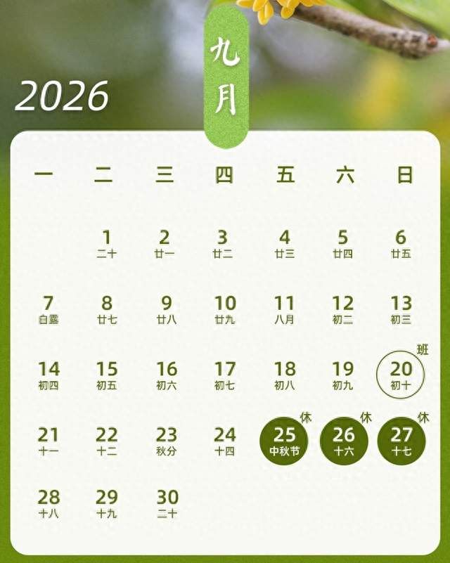 2026调休争议爆火：消费逻辑和大众需求彻底脱节