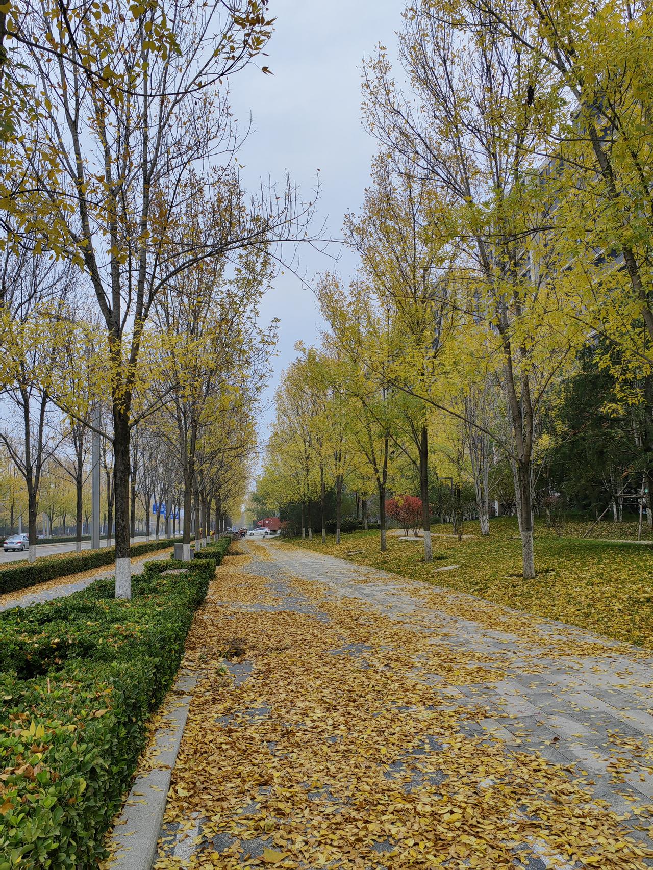 文化管理者会把人看得更重要，注重在完成工作任务中，培养更多的管理者。