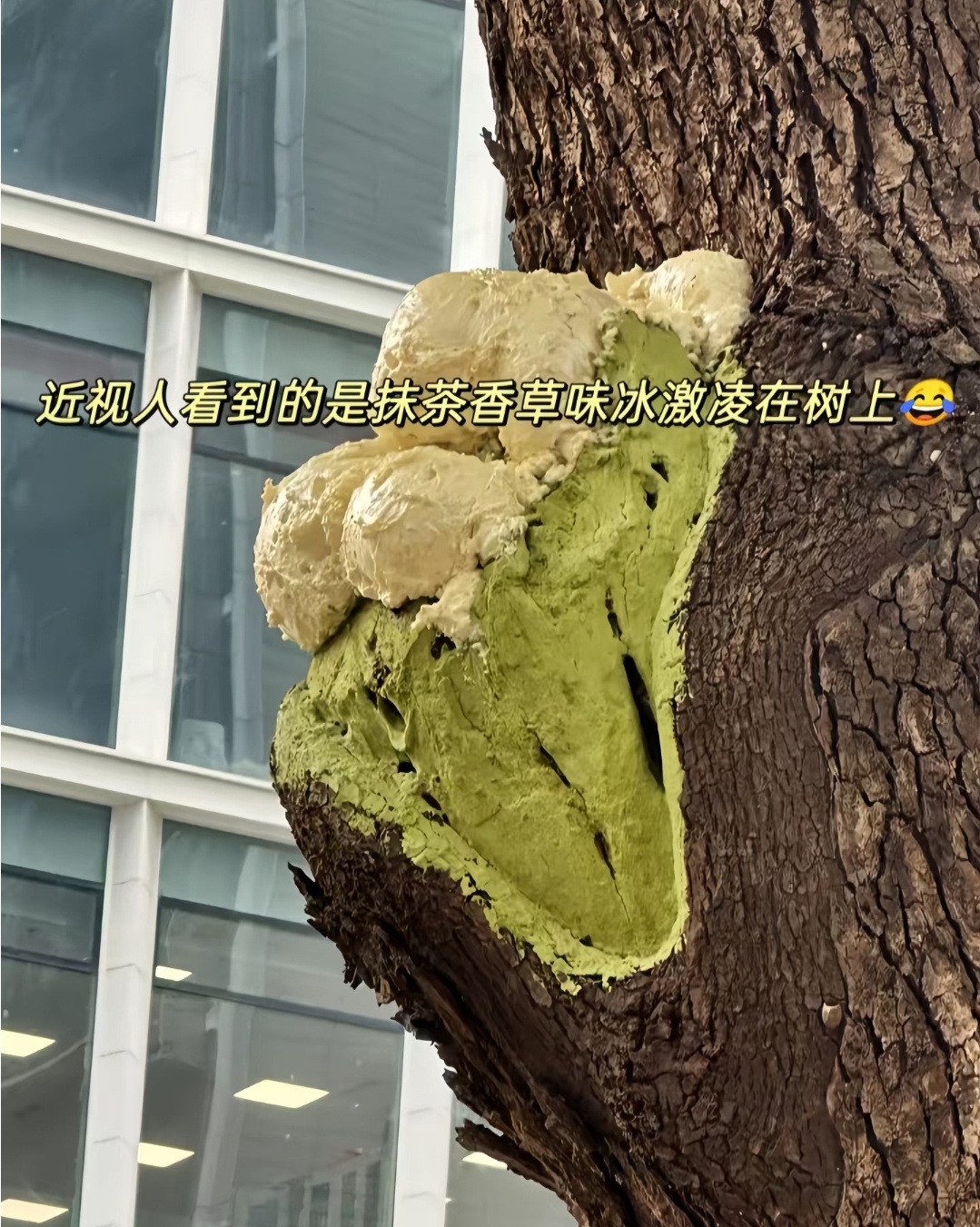 这谁看了不会以为是冰激凌啊 