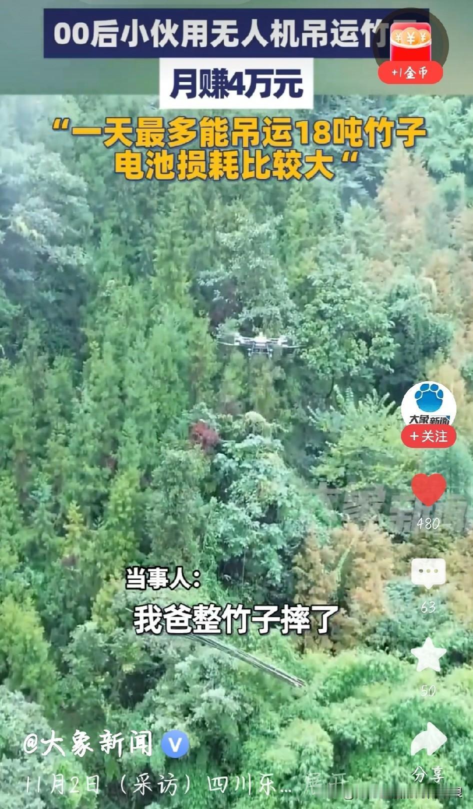 刷到00后小伙用无人机运竹子月赚4万，这操作太牛了！以前山里运竹子全靠人背，山高