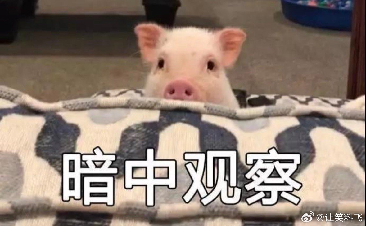 中国AI成全球游戏开发者大会主角很期待开发者大会主角 ​​​