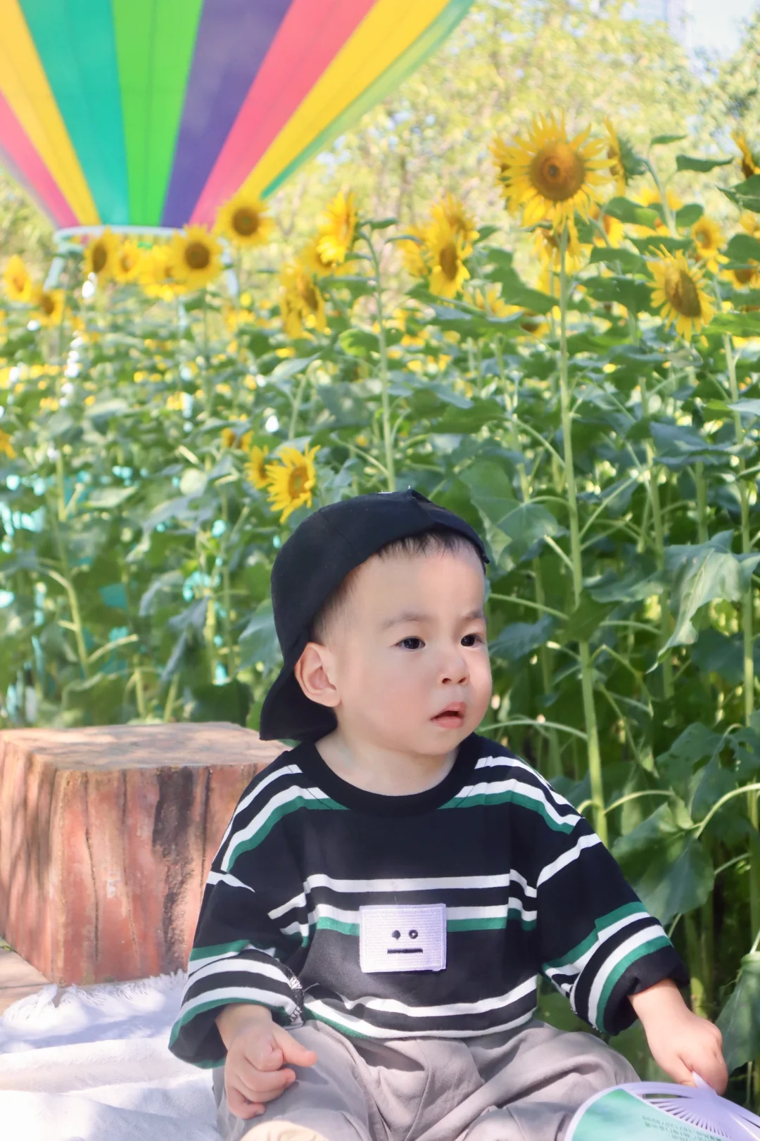 小友遛遛图鉴 | 想看看你们和向日葵的合照