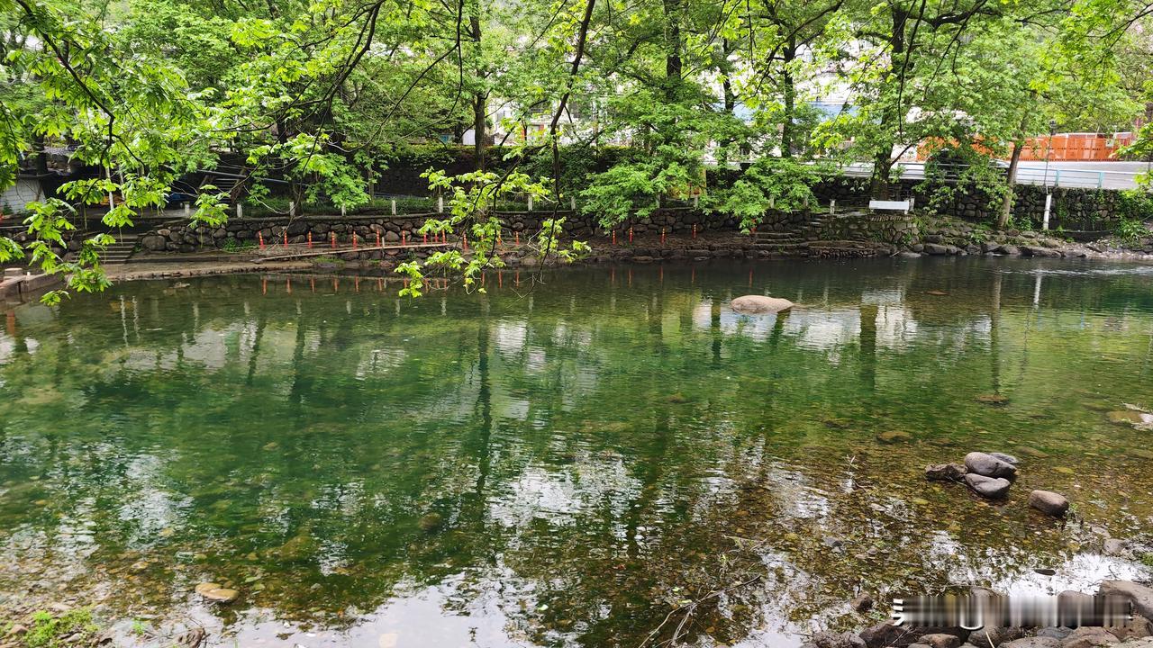 谁能想到，从上海开车过来，不过三个多小时，就能一头扎进安吉这片被竹海包裹的碧绿里