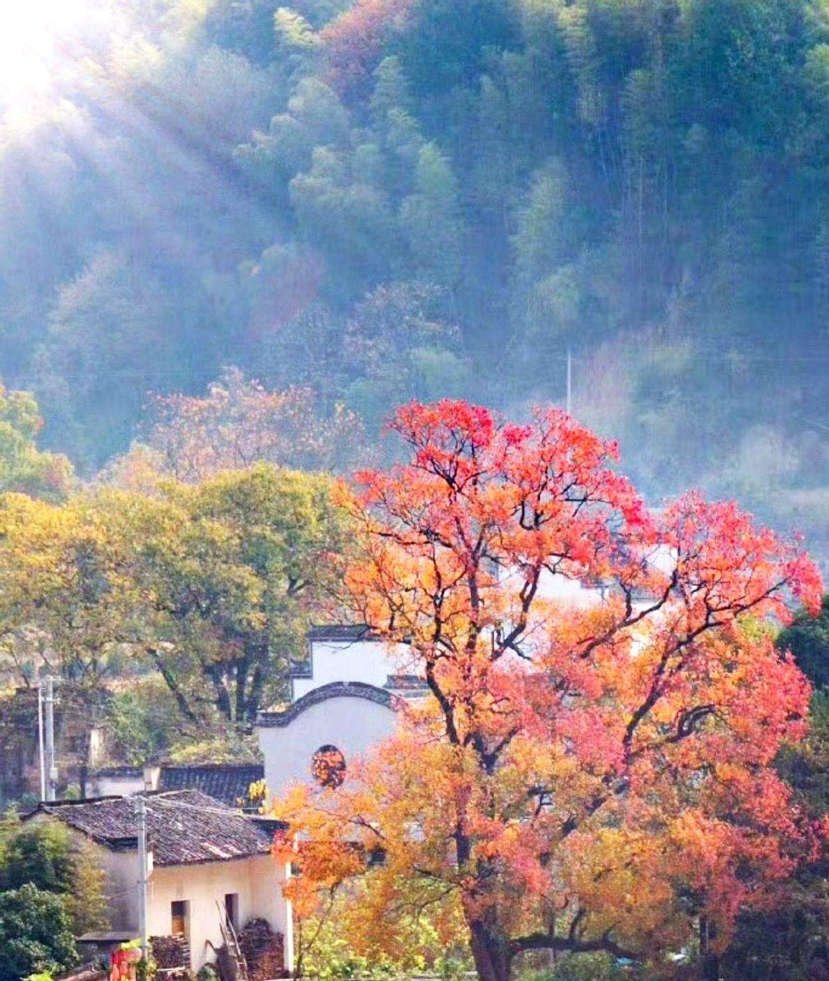 “块钱买的比亚迪，一年涨到80块，你卖不卖？我肯定卖了。落袋为安嘛。
这事儿搁谁