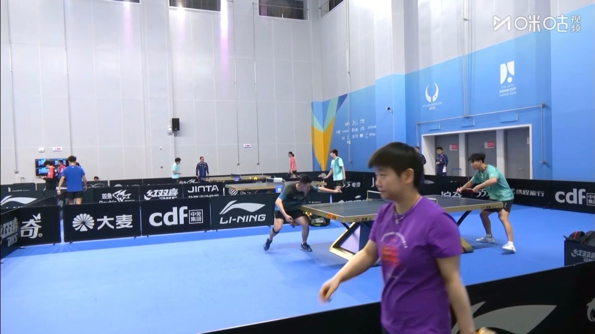 紫薯小包子出现 