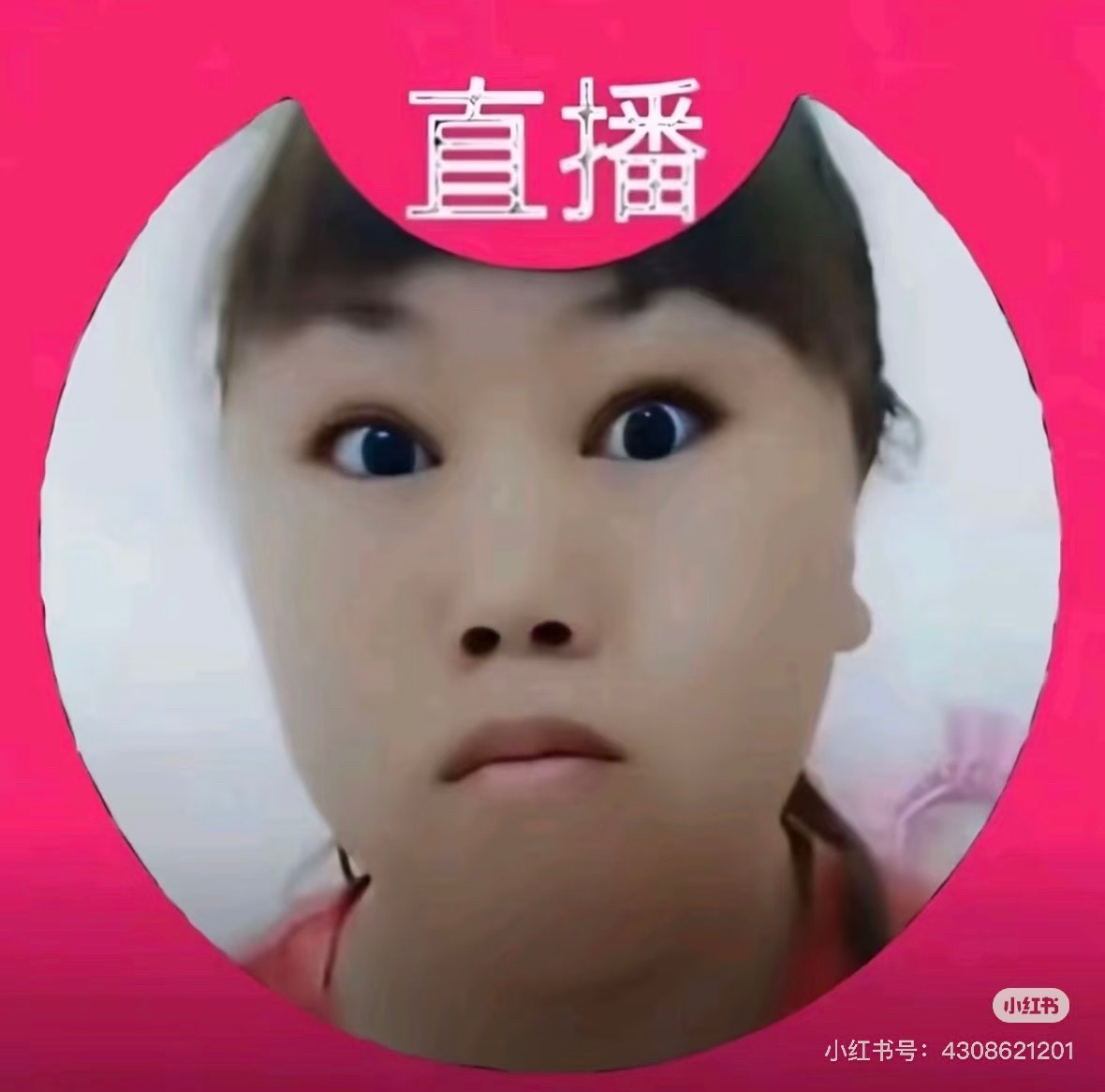 感觉自己长得像晓丽 