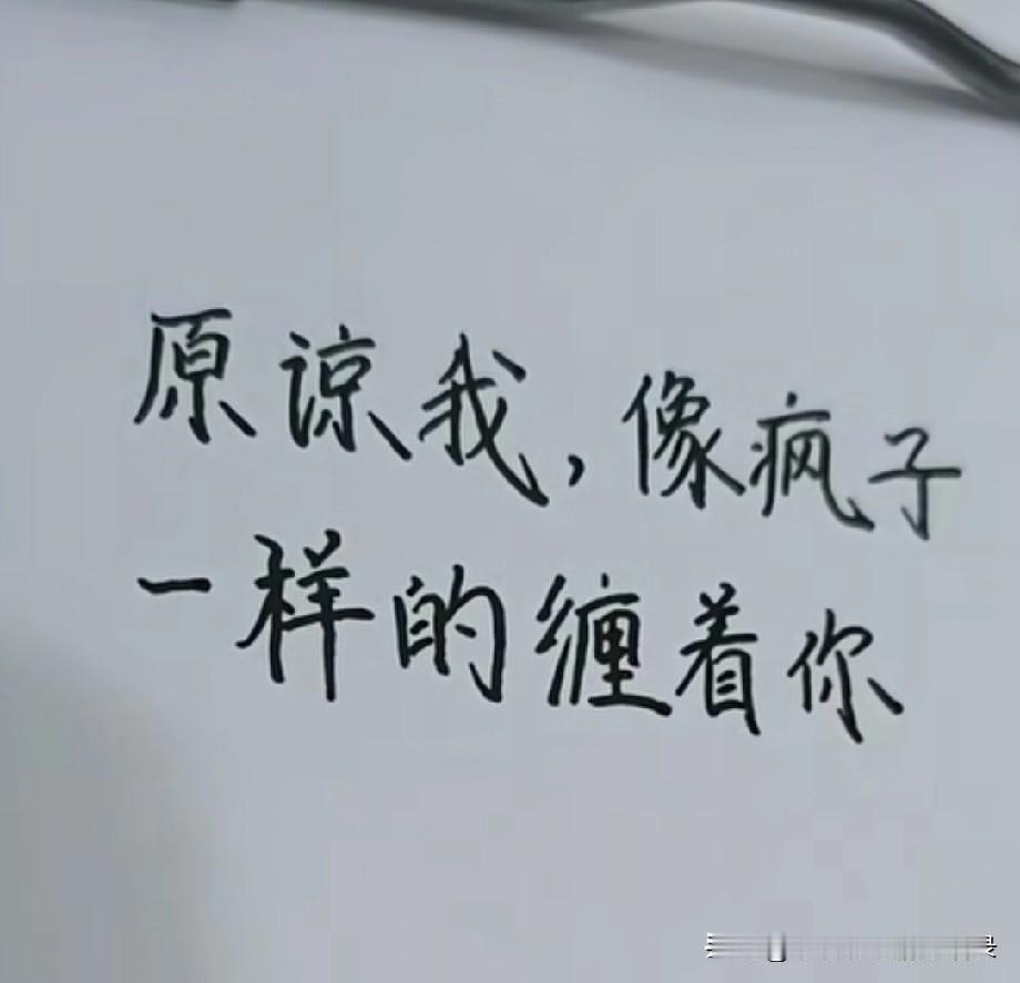 原谅我像疯子一样的缠着你，
原谅我死皮赖脸的找你，
原凉我的出现给你带来的困扰，