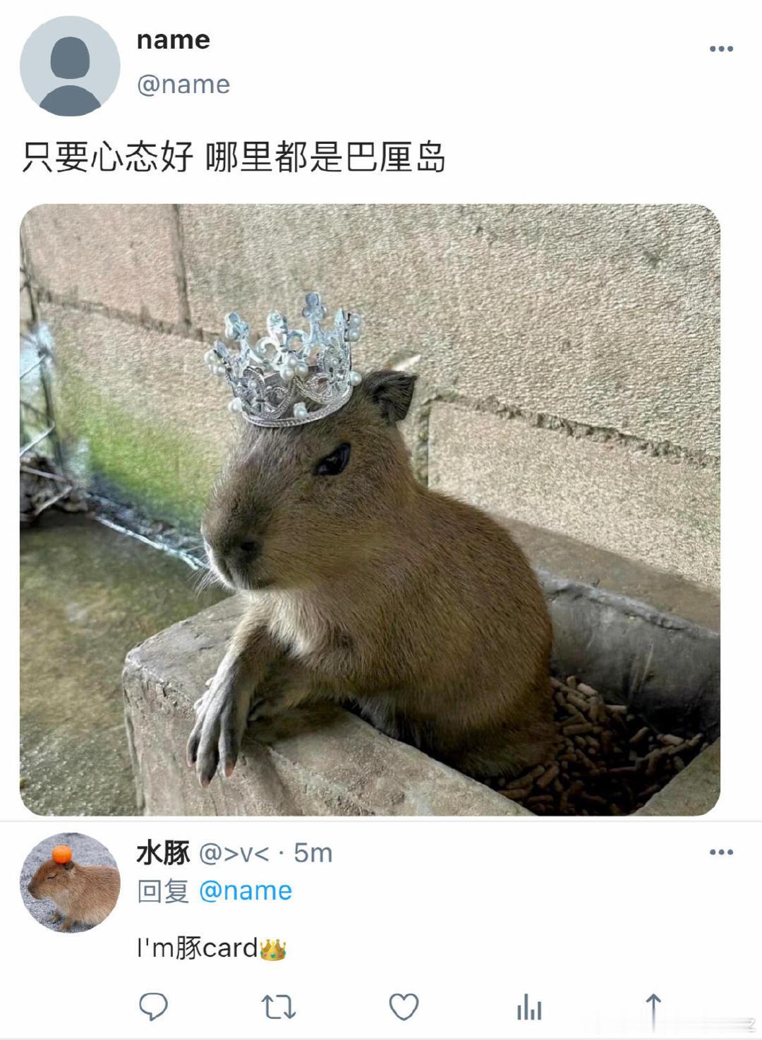 分享新鲜事 