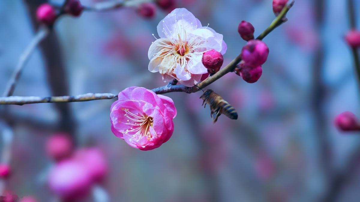 人生最悲哀的，并不是昨天失去的太多，而是沉浸于昨天的悲哀之中。不要过份在意一些人