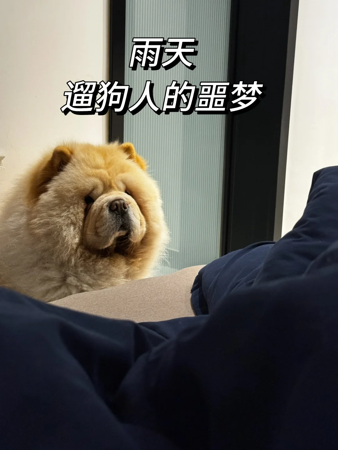噩梦什么时候能结束🔚