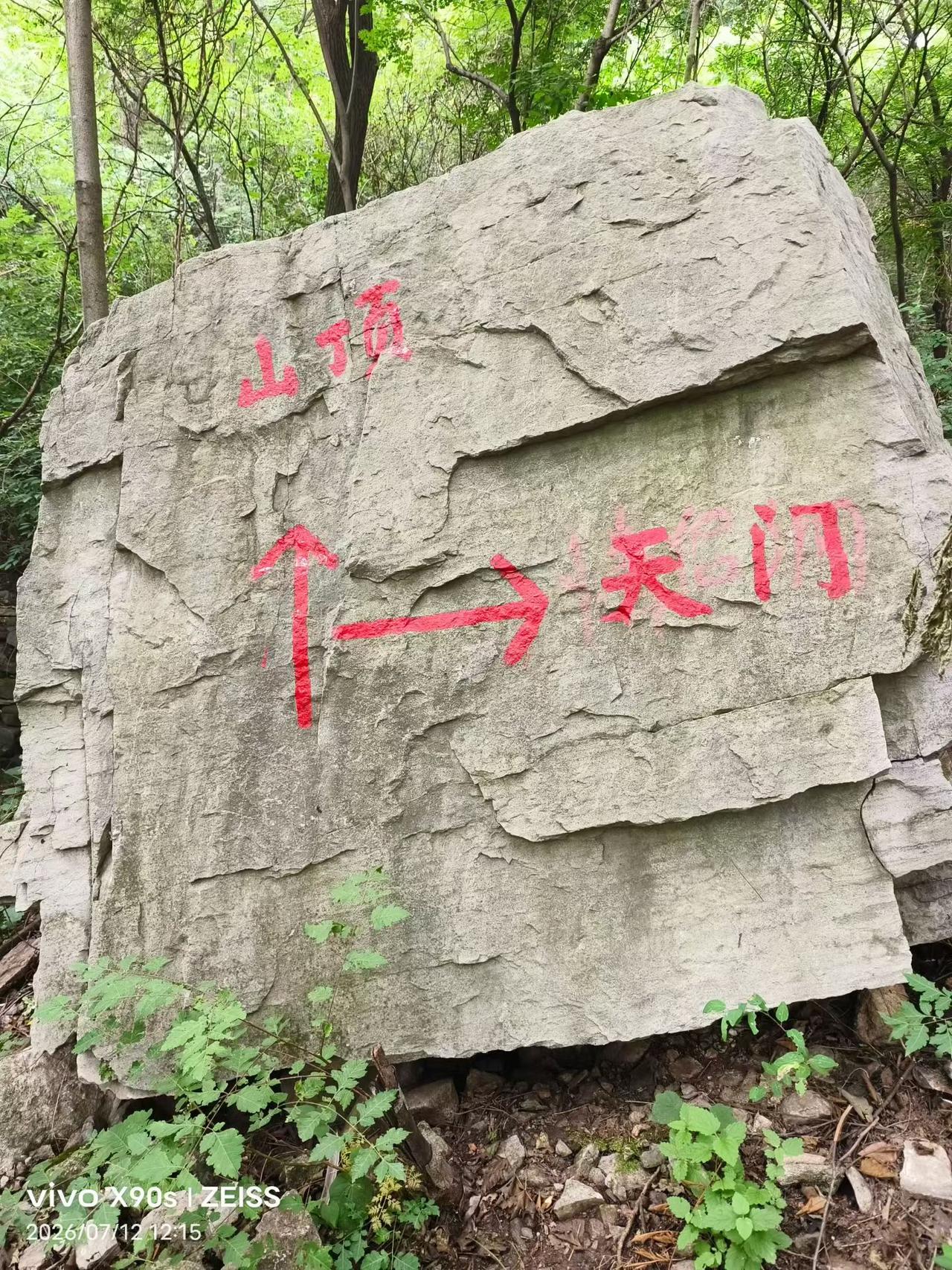 五绝·初伏山中乘凉

文/刁孟湖

密密林荫坐，徐徐爽气来。
高山消伏暑，绿野醉