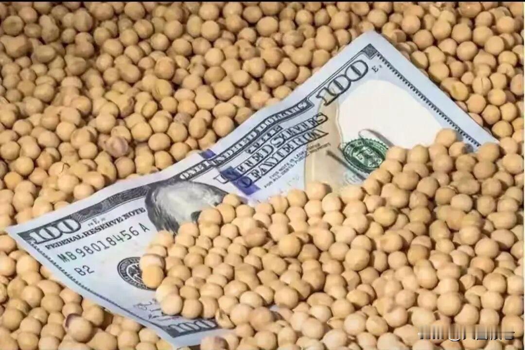 豆粕期货还能继续上涨多久?美豆价格涨疯了！CBOT大豆冲破1300美分，创近三年