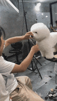 果然长的好看就是受欢迎