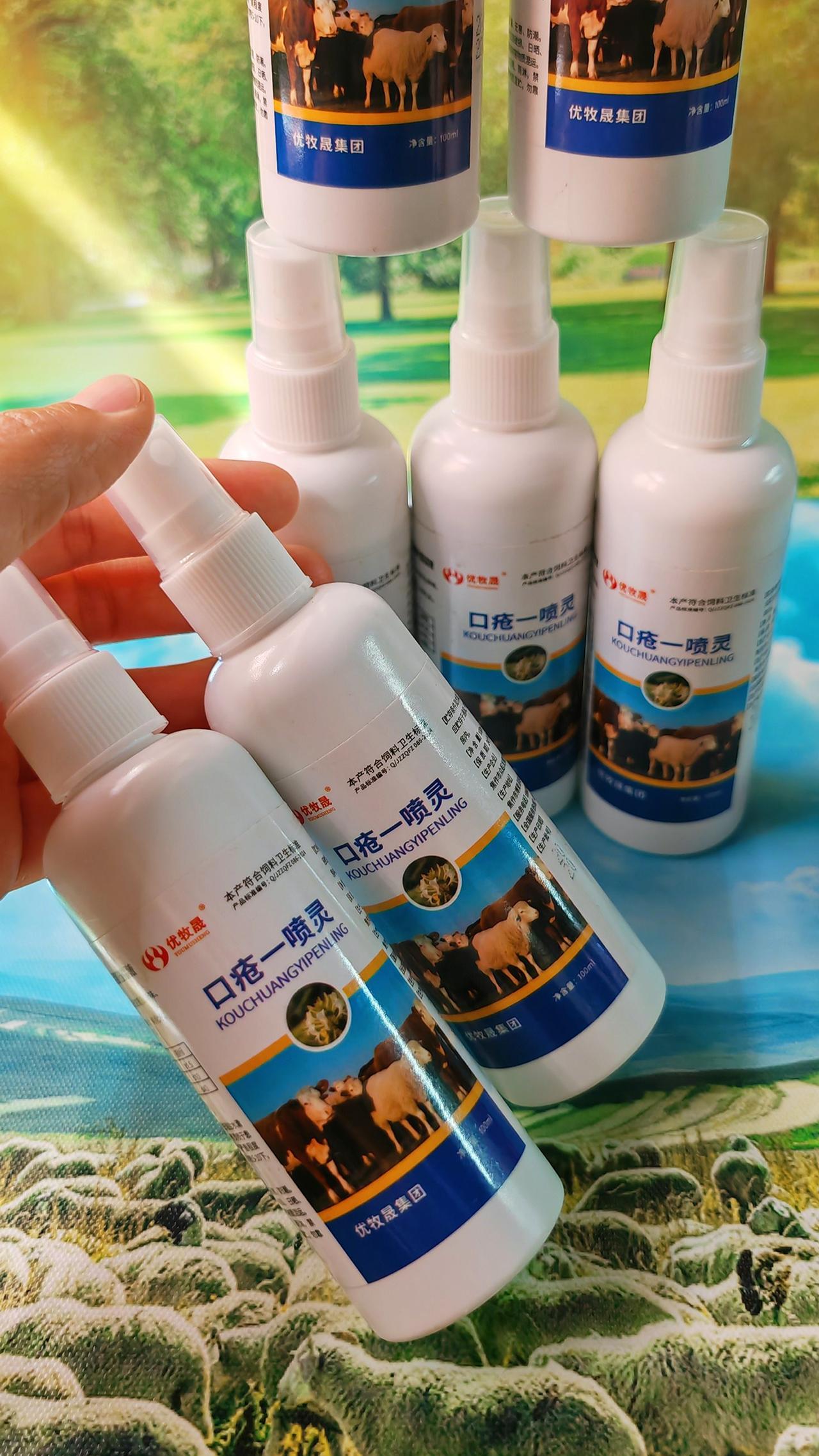 养羊人 牛羊烂嘴 牛羊养殖