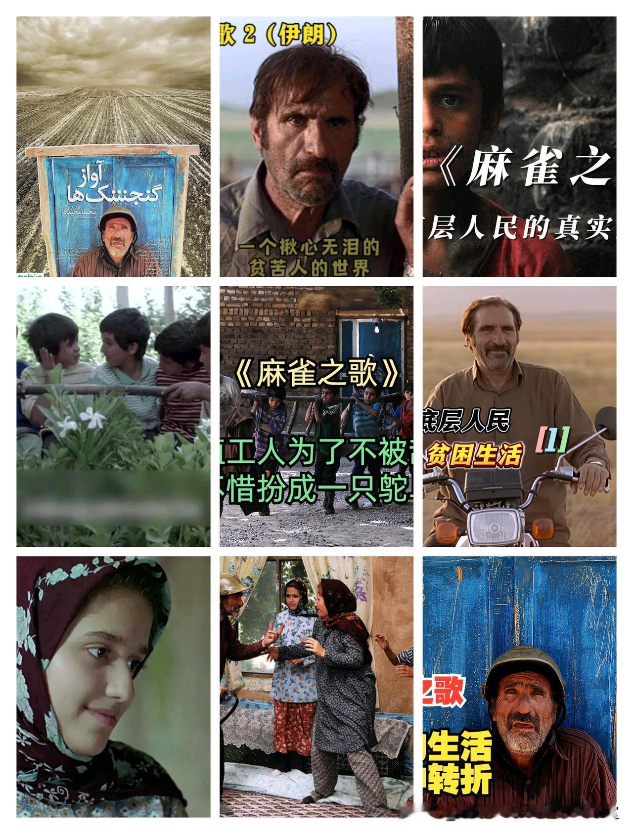 微杂志〔《麻雀之歌》、山野识草］