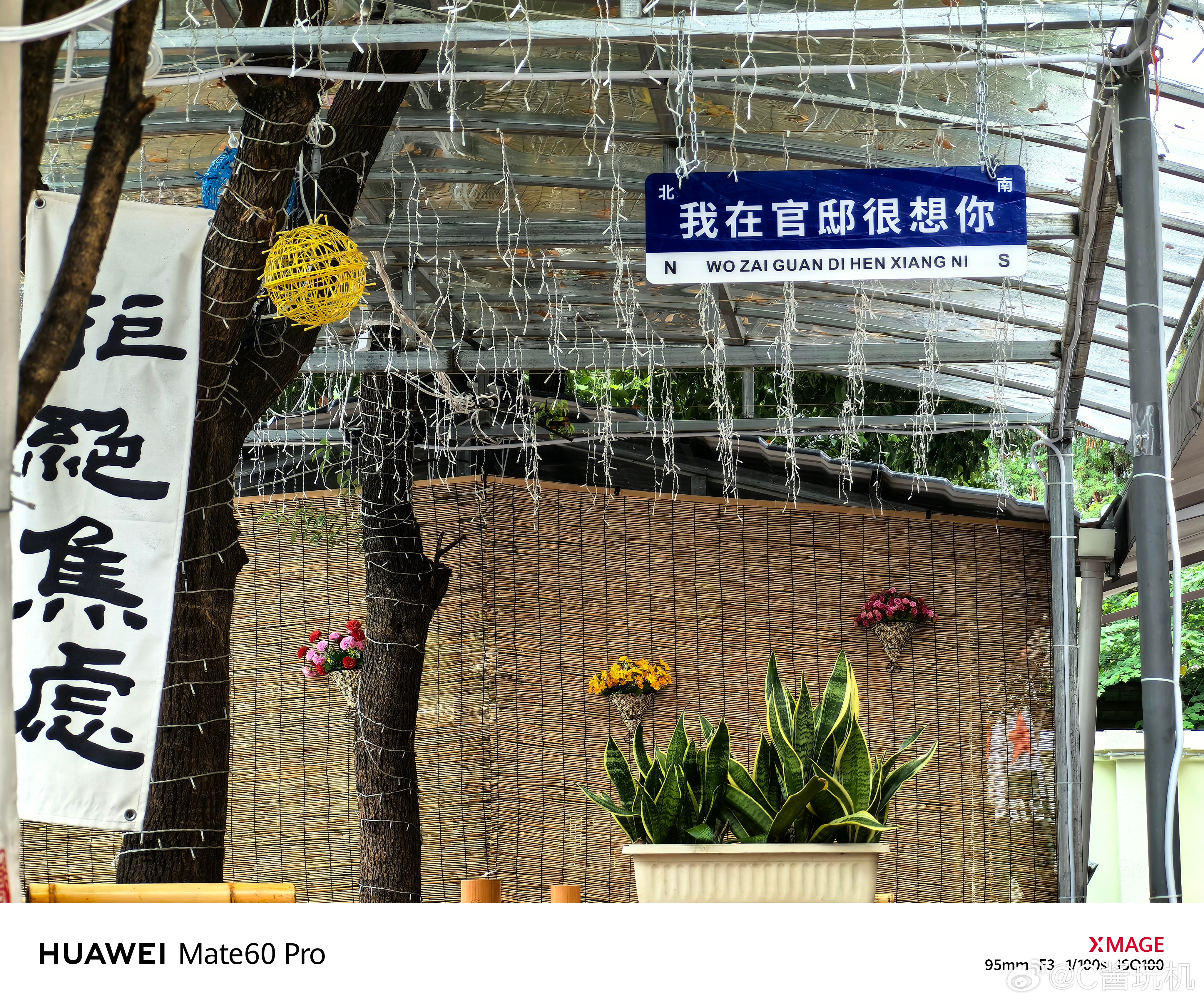 大家国庆假期都去哪儿玩了呢？[锦鲤附体]我这次回老家去了之前的几个老地方逛了逛，
