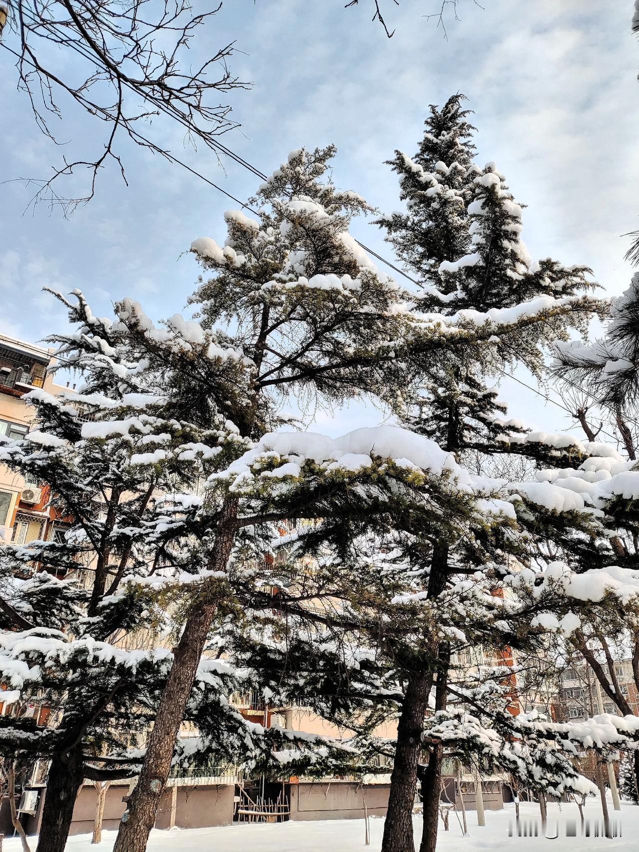 以下是中国各个朝代的一些著名书法家：
 
- 秦汉时期：李斯是秦朝书法家，主持创