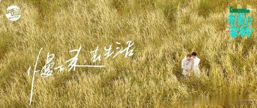 内娱明星就业新思路内娱明星创业从 0 到 1：马伯骞、郭俊辰等当摆摊主理人，用真