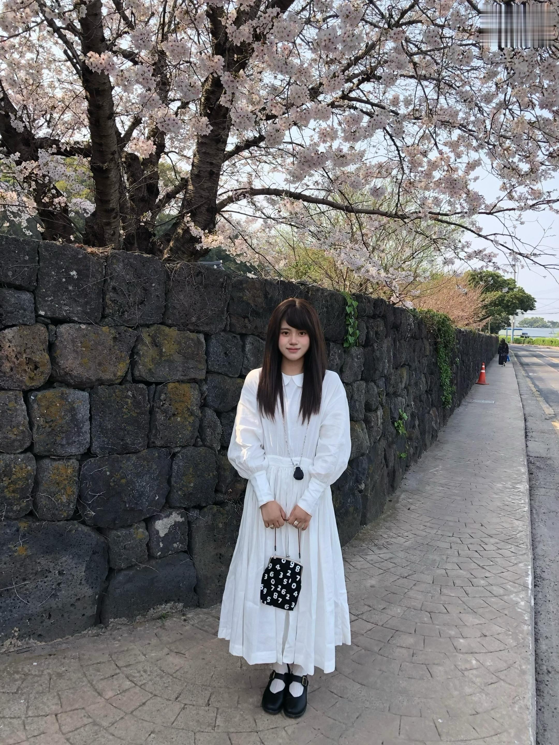 像花一样，往春天里赶。