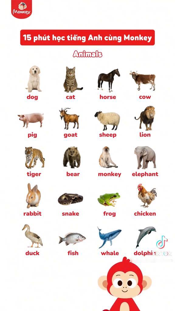 dog，cat，horse，cow，pig，goat，sheep，lion，ti