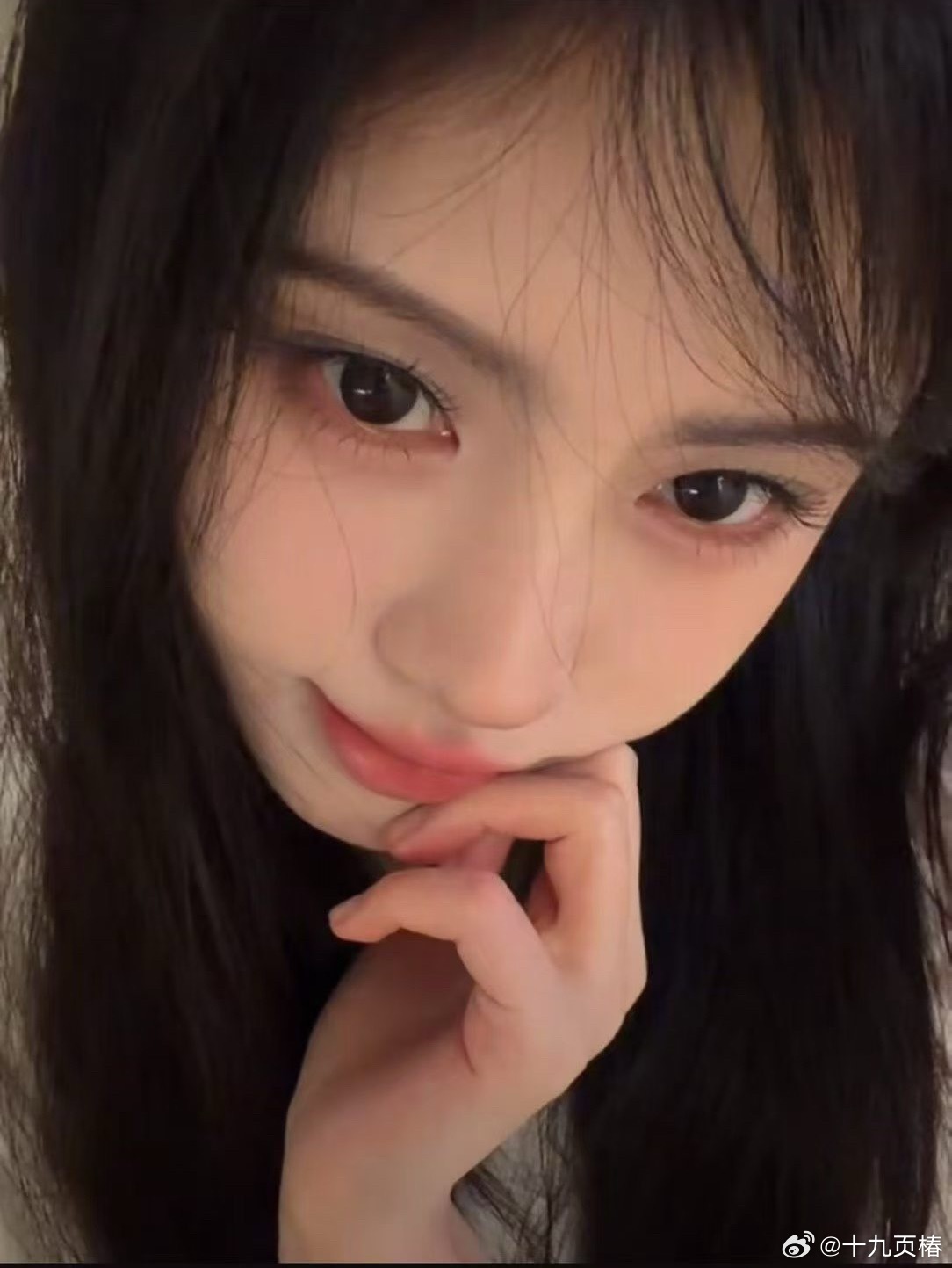 鞠婧祎  jjy鞠婧祎 jjy鞠婧祎苏绿夏 "你的微笑在我的心尖闪耀，编织了每一