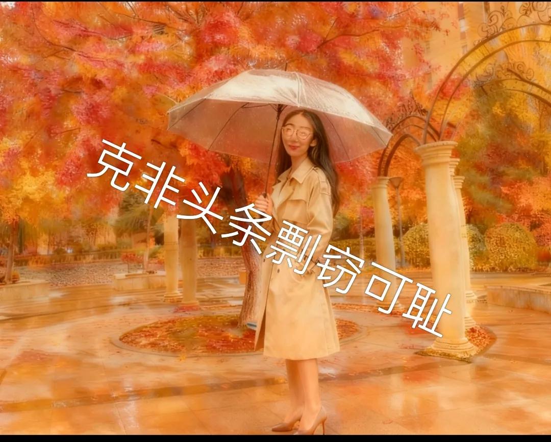 刘妈要回来了，我实在找不到更合适的理由延缓刘妈回来，让她在鹤岗再呆些天。
我总感