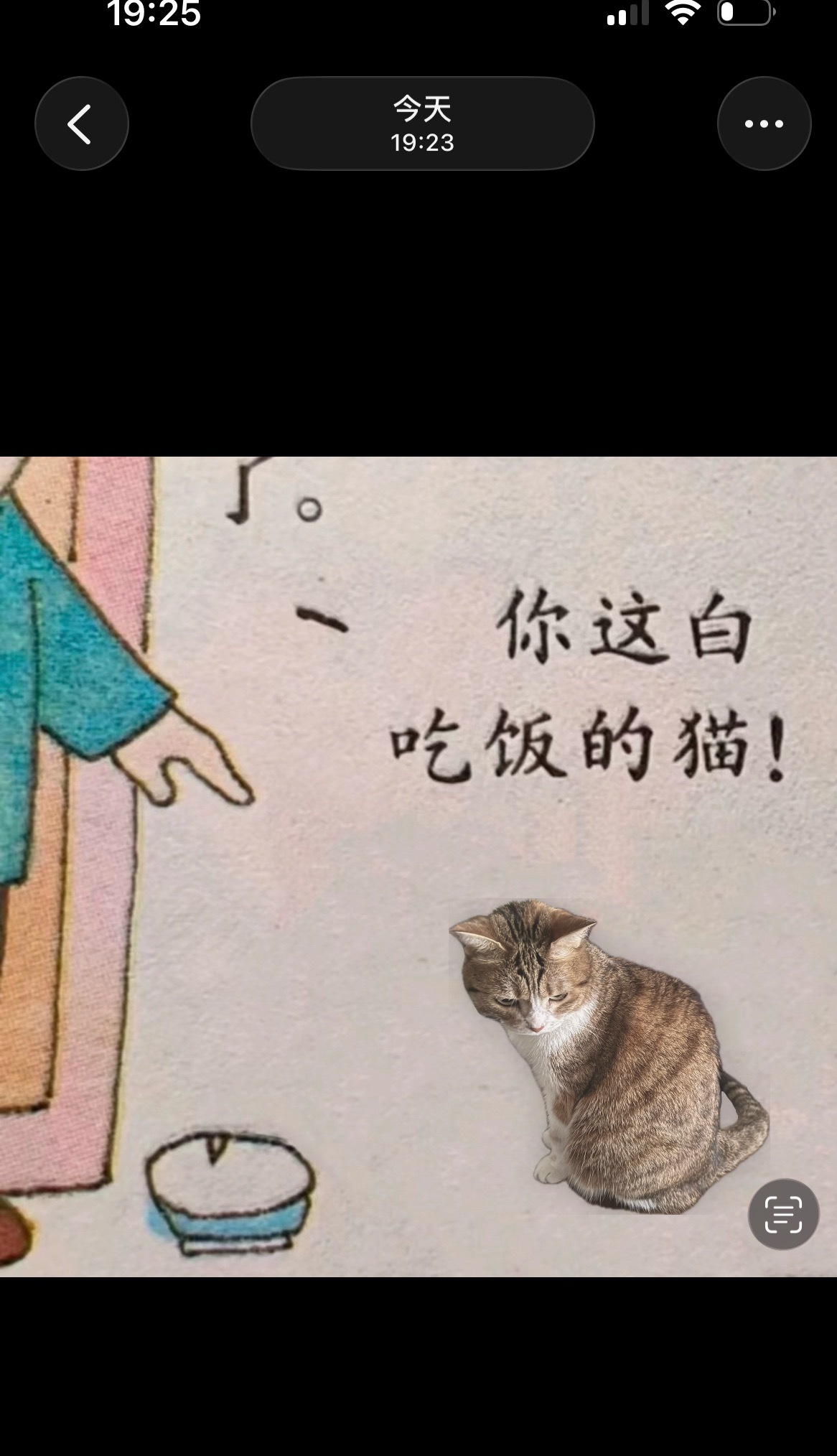 白饭狗都不吃。我要吃猫猫条。 