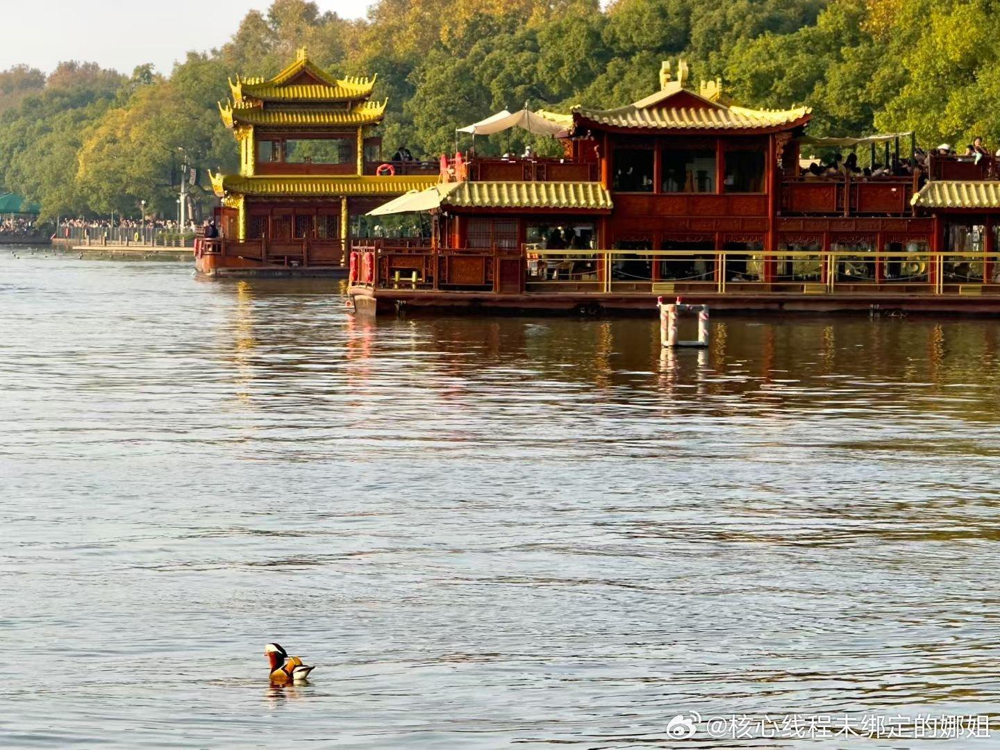 工作室的肯定与祝贺易烊千玺凭《小小的我》获得金鸡奖最佳男主角，无疑是对他演技和努