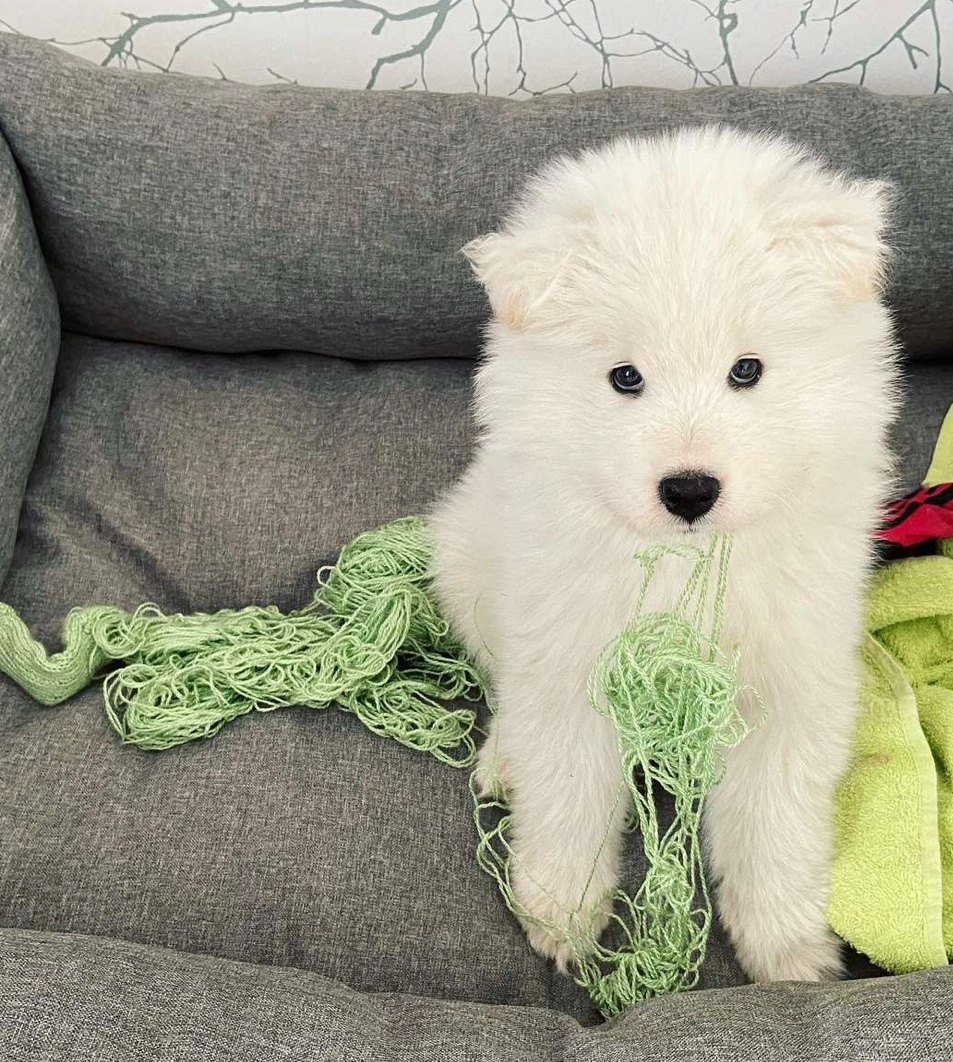 妈妈，我会加入钩针社帮你把围巾还原的 ​​​