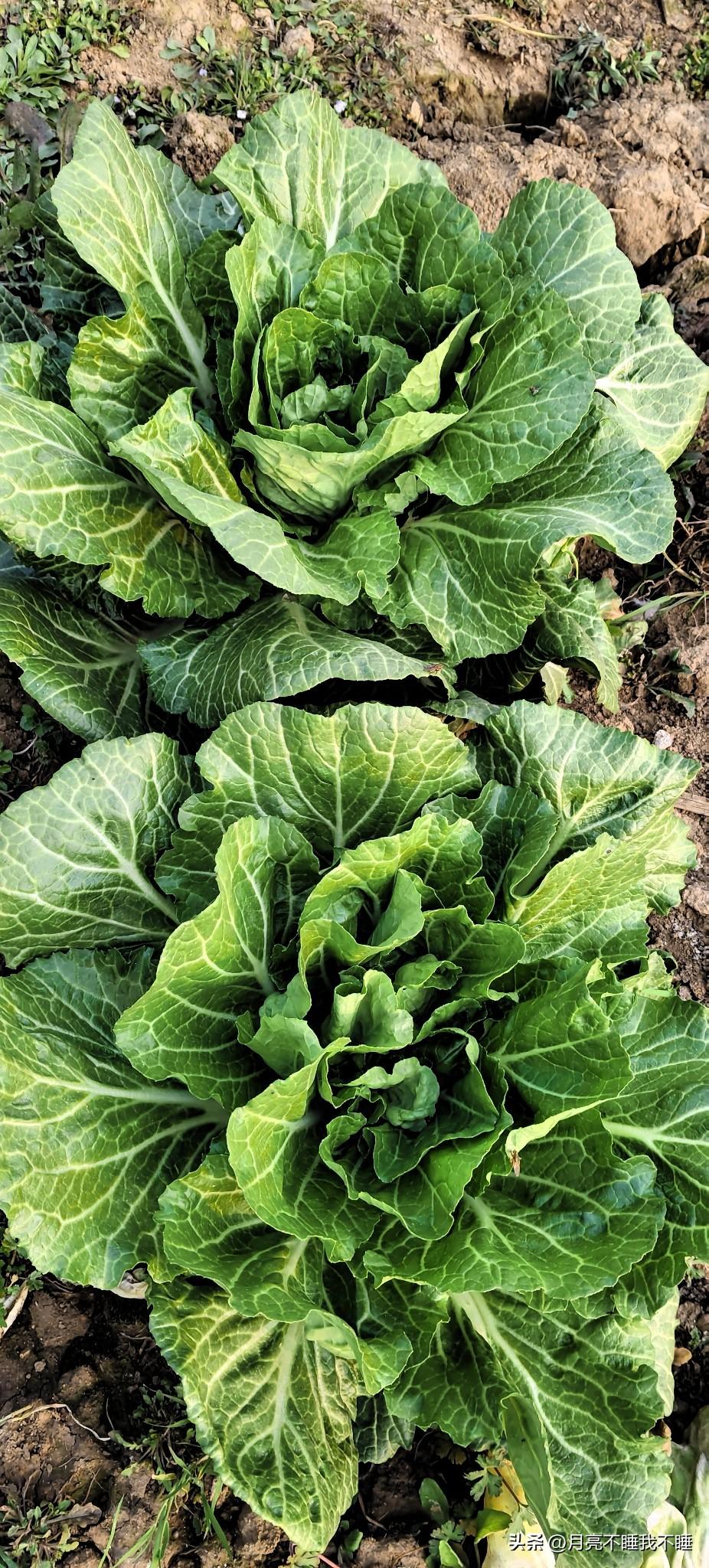 分享一下你随手拍下的照片