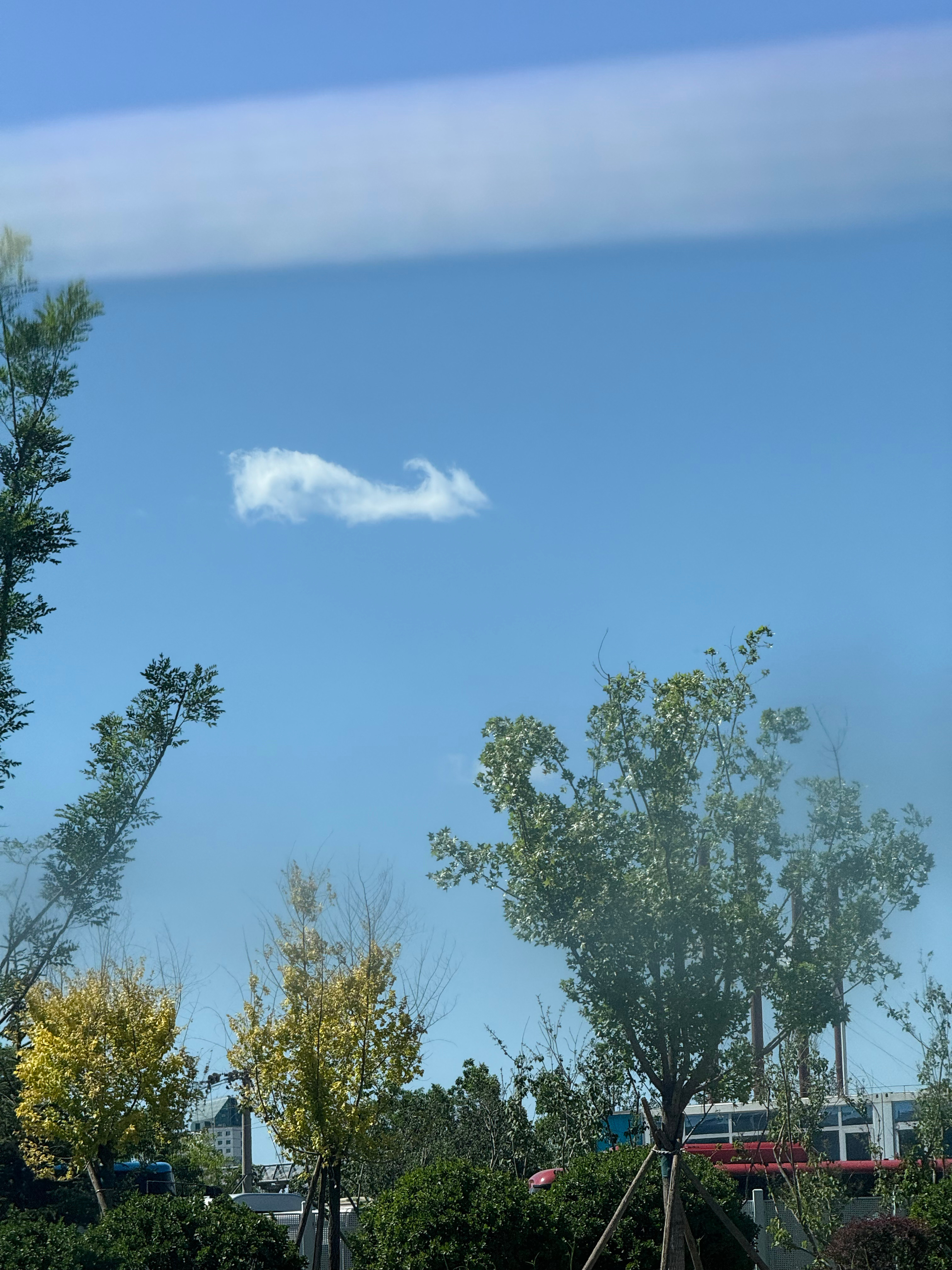 这朵云好像一条🐟 