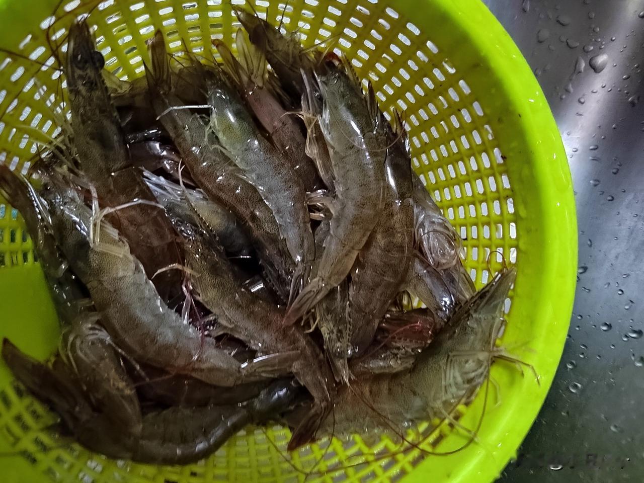 马栏子市场紧东头那家卖海货的老头，有人说他家的虾比其他家好，我就买了一点试试水，
