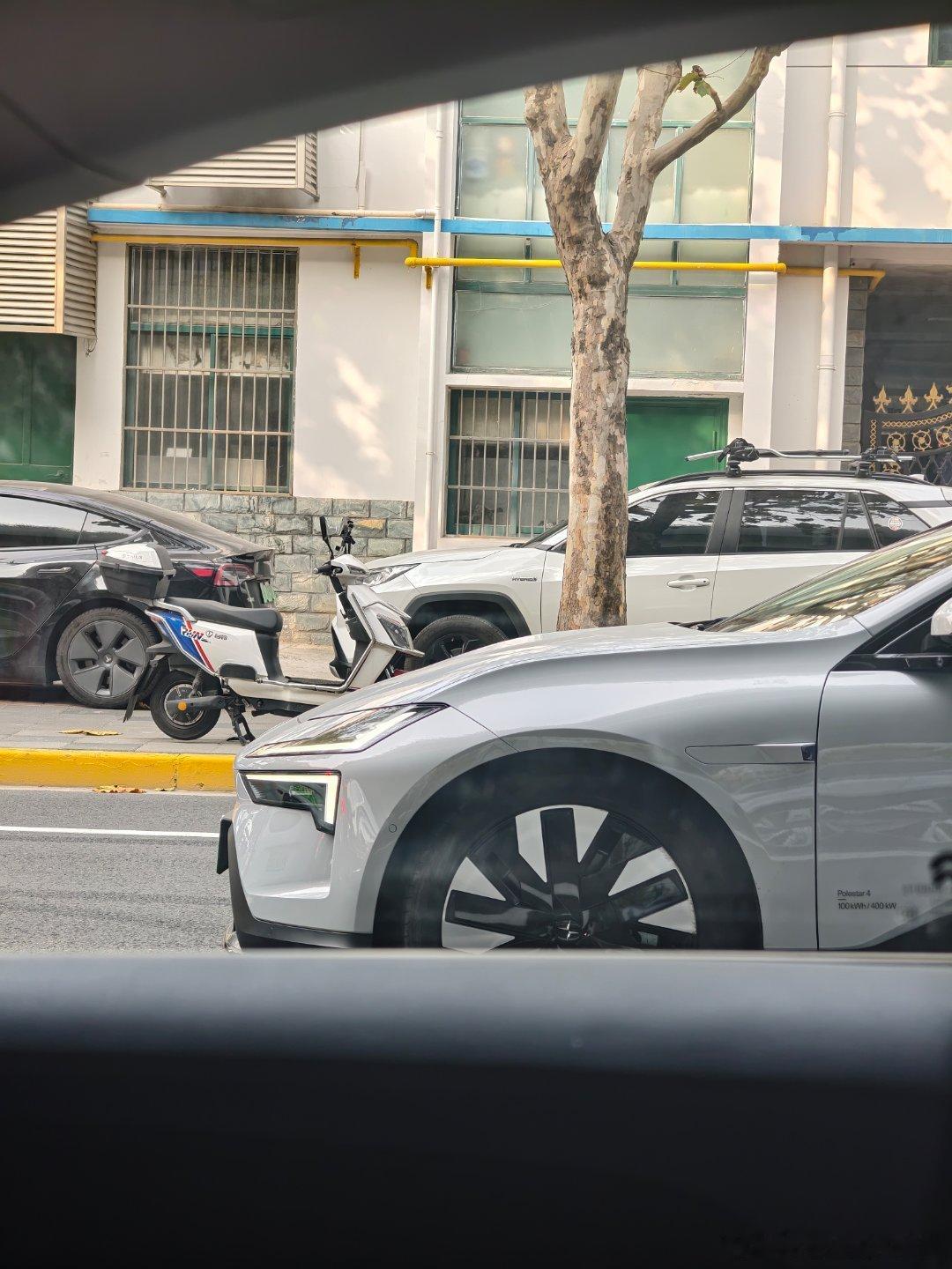 谁看见不说一声优雅极星4